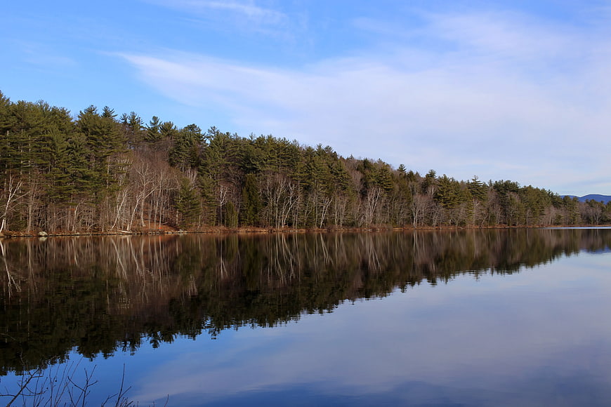 Serene Lake Reflection with Forest and Blue Sky