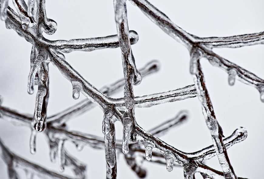 Close-up of brown branches coated in melting ice