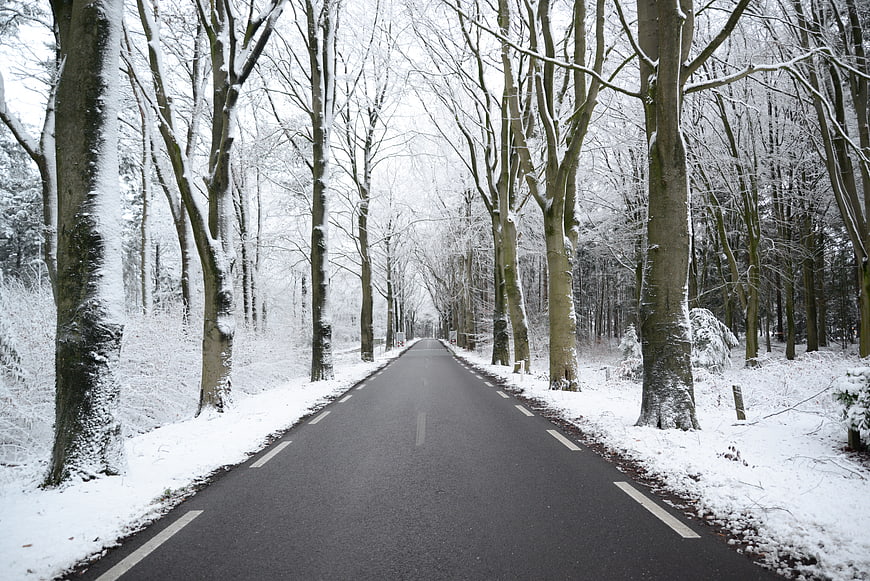 Empty asphalt road through snowy winter forest