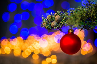 Red Christmas Ornament on Pine Branch with Bokeh Lights