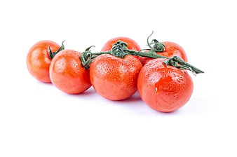 Fresh Red Tomatoes on the Vine Isolated on White Background