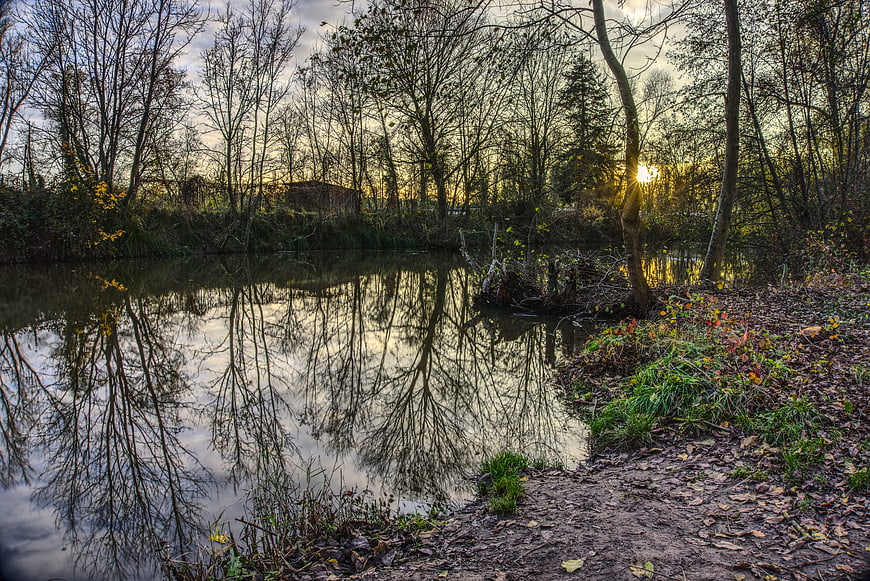 Serene Autumn Forest Pond with Golden Sunlight Reflections