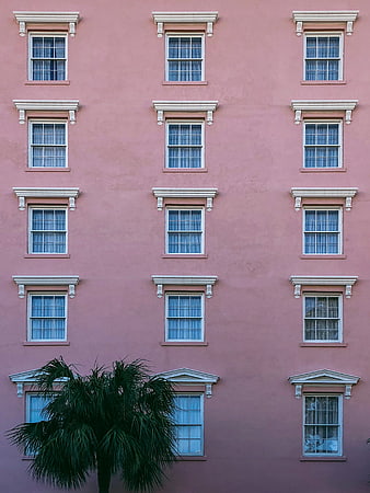 Symmetrical pink building facade with white windows and palm tree
