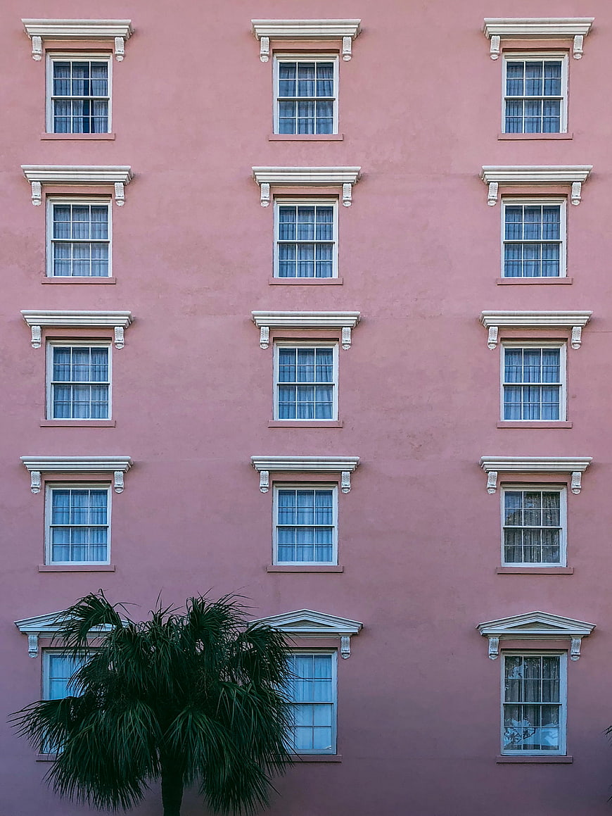 Symmetrical pink building facade with white windows and palm tree