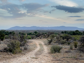 Dirt road leading through dry savanna landscape with distant mountains