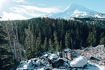 Snowy Mountain Peak Above Pine Forest and Rocky Ridge