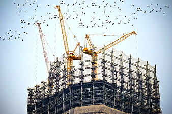 Construction cranes and flock of birds against blue sky