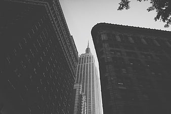 Low Angle Black and White Skyscraper Architecture