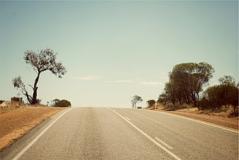 Empty rural road stretching into the horizon under a clear sky