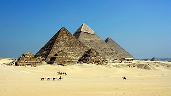 Pyramids of Giza with Camel Caravan in Egyptian Desert