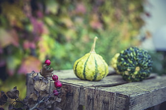 Autumn Squash and Berries on Rustic Wooden Table
