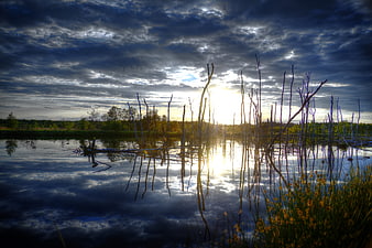 Dramatic sunset reflection on lake with dead trees