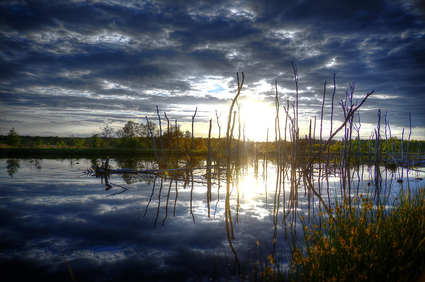 Dramatic sunset reflection on lake with dead trees