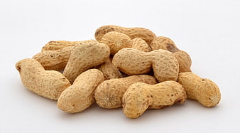 Pile of Raw Peanuts in Shells on White Background