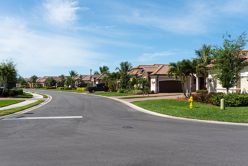 Quiet suburban street with luxury homes and palm trees