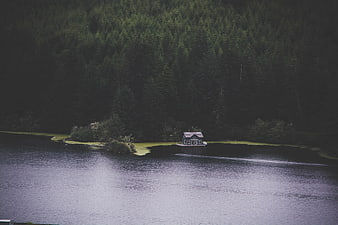 Small Cabin on Lake Shore Surrounded by Pine Forest
