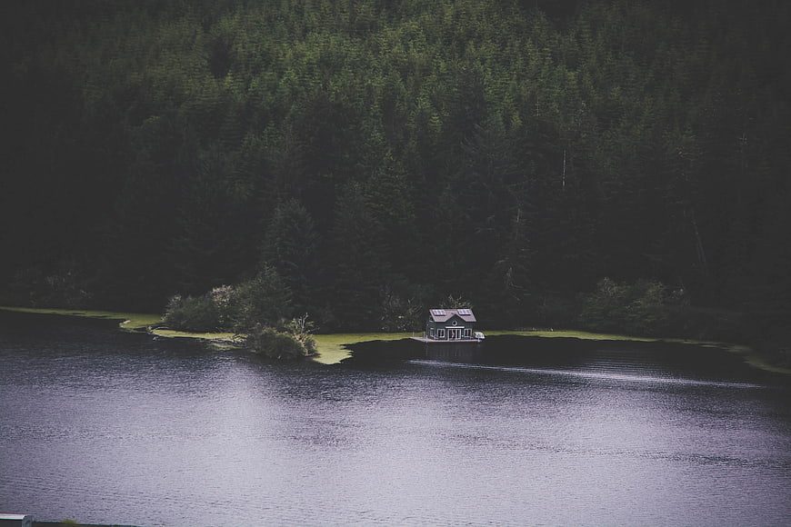 Small Cabin on Lake Shore Surrounded by Pine Forest