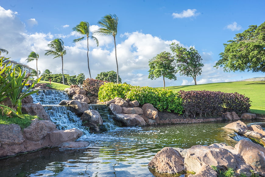 Tropical Waterfall Landscape With Palm Trees And Pond