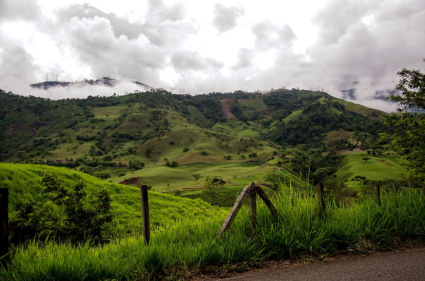 Lush Green Coffee Farm Landscape in the Colombian Andes