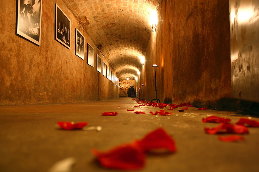 Red rose petals scattered on floor of arched brick hallway