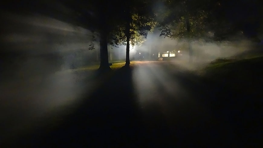 Mysterious foggy forest path at night with eerie light beams