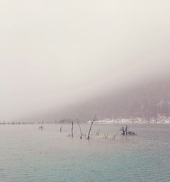 Misty Lake Landscape with Dead Trees in Winter Fog