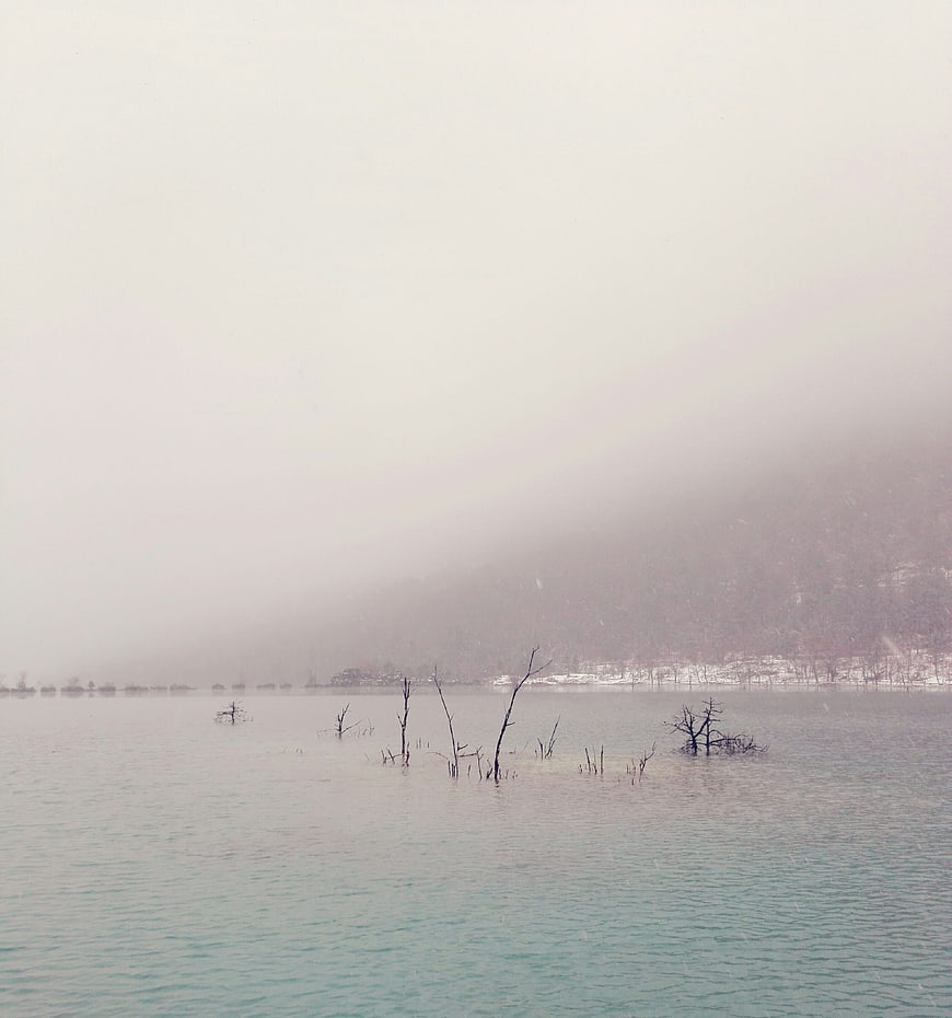 Misty Lake Landscape with Dead Trees in Winter Fog