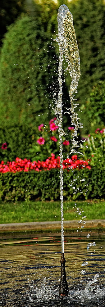 Vertical Water Jet Fountain in Garden with Flowers