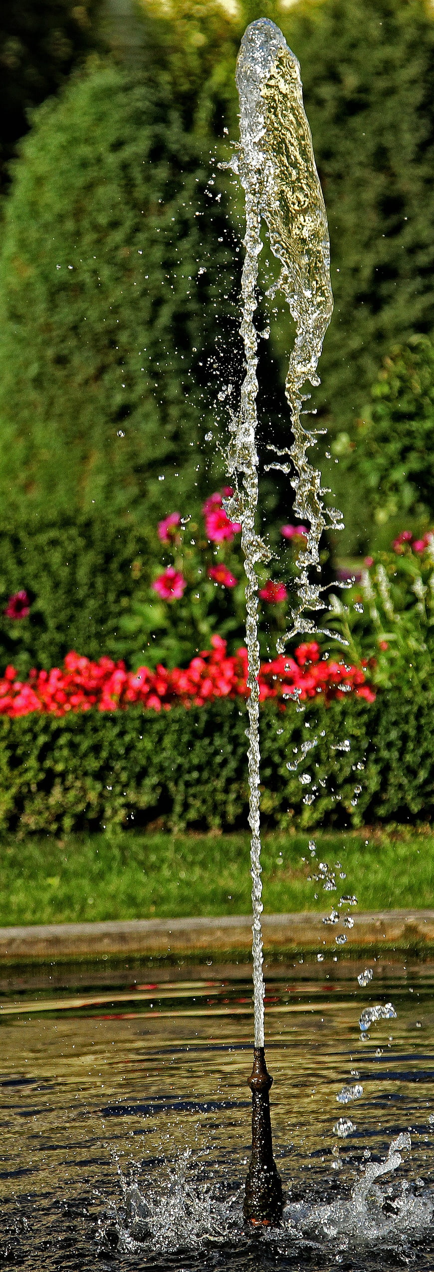 Vertical Water Jet Fountain in Garden with Flowers