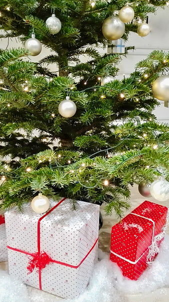 Wrapped Christmas Gifts Under Decorated Pine Tree