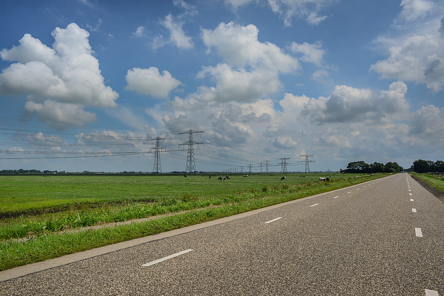 Asphalt road through green Dutch meadow with cows and power lines