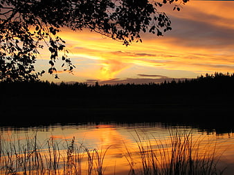 Silhouette of trees and reeds against a vibrant orange sunset lake reflection