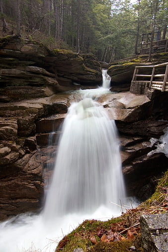 Long Exposure Waterfall in Forested Rock Gorge