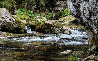 Mossy Rocks and Flowing Stream in Lush Forest