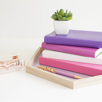 Minimalist workspace with colorful notebooks and succulent