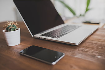 Laptop, Smartphone, and Cactus on Wooden Desk