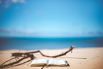 Open Bible on Sandy Beach with Driftwood and Ocean View
