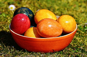 Colorful Easter Eggs in Wooden Bowl on Grass