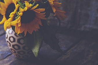 Sunflowers in Patterned Vase on Rustic Wooden Table