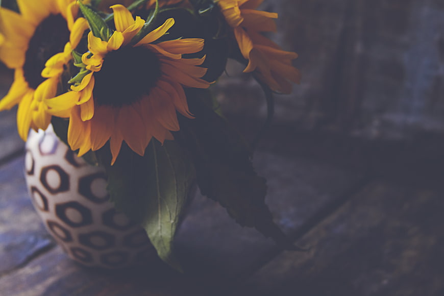 Sunflowers in Patterned Vase on Rustic Wooden Table