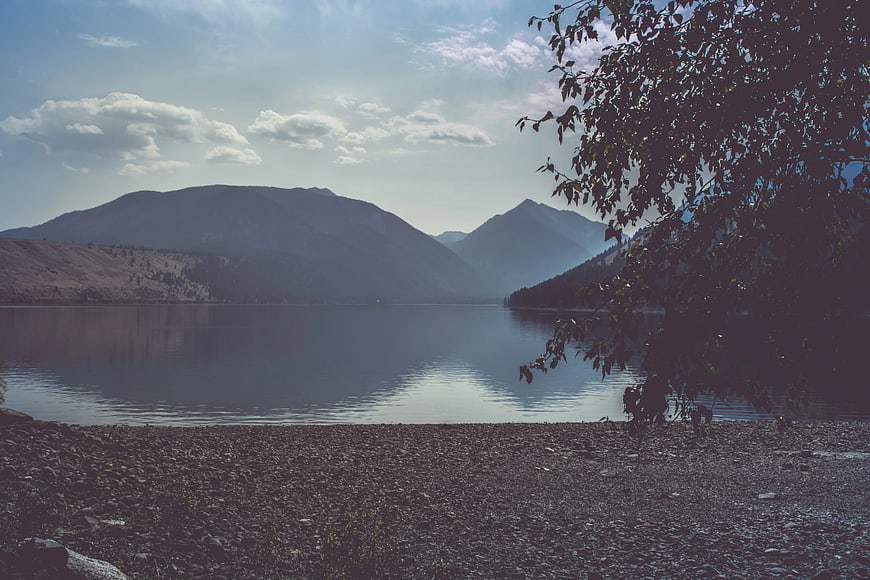 Serene Mountain Lake with Foreground Tree and Rocky Shore