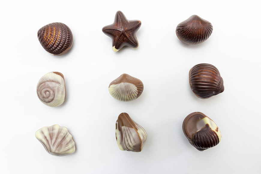 Sea Shell Themed Chocolate Pralines Arranged On White Background