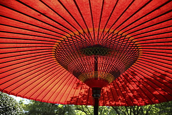 Low angle view of red traditional umbrella underside
