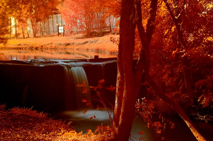 Vibrant Orange Autumn Trees by Small Waterfall