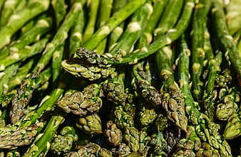 Close-up of fresh green asparagus spears with water droplets
