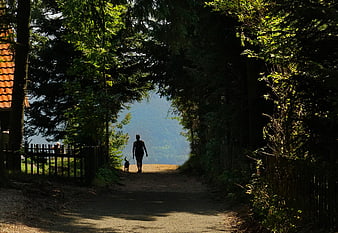Woman walking dog on forest path toward scenic mountain view
