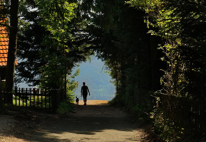 Woman walking dog on forest path toward scenic mountain view