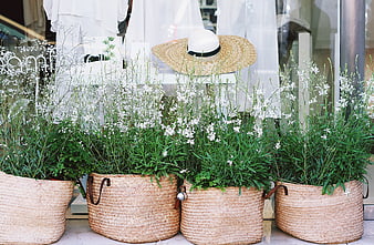Summer Shop Window Display with Straw Baskets and White Flowers