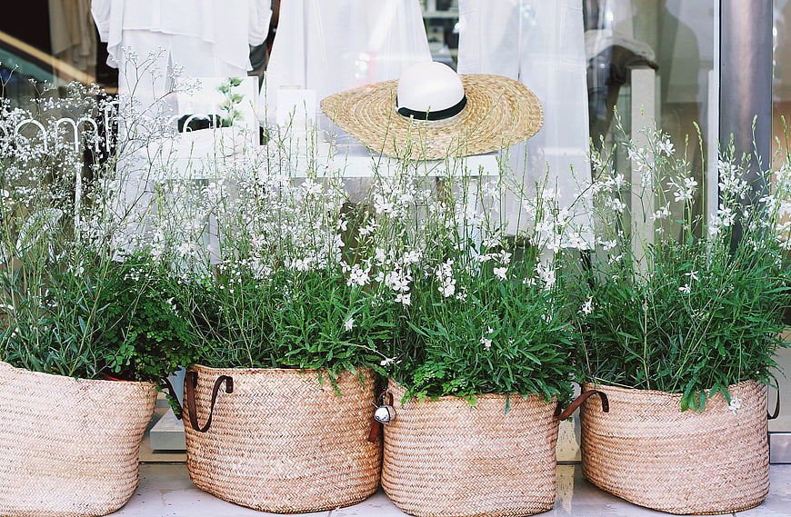 Summer Shop Window Display with Straw Baskets and White Flowers
