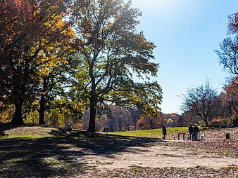 Autumn Park Scene with Colorful Trees and People